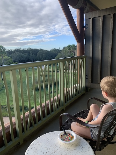 Savannah view at Jambo House, Disney Animal Kingdom Lodge 